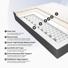 "Ortho-Mattress_Westbourne-II-Firm"