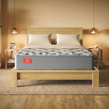 Ortho-Mattress_Regency-II-Luxury-Firm