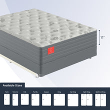 Ortho-Mattress_Regency-II-Luxury-Firm