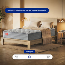 Ortho-Mattress_Regency-II-Luxury-Firm