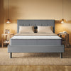 "Ortho-Mattress_Club-I"