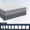 "Ortho-Mattress_Club-I"