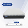 "Ortho-Mattress_Continental-II-Soft"