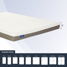 "Ortho-Mattress_Nightfall"