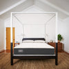 "Ortho-Mattress_Westbourne-II-Plush"