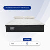 "Ortho-Mattress_Westbourne-II-Pillow-Top"