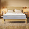 "Ortho-Mattress_Club-I-Pillow-Top"