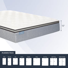 "Ortho-Mattress_Club-I-Pillow-Top"