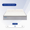 "Ortho-Mattress_Club-I-Pillow-Top"