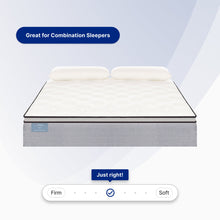 "Ortho-Mattress_Club-I-Pillow-Top"