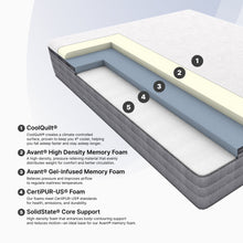 "Ortho-Mattress_Compel-Firm"