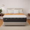 "Ortho-Mattress_Compel-Soft"