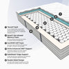 "Ortho-Mattress_Kalahari-Mattress"