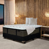 "Aireloom_Chester-Luxetop-Firm"