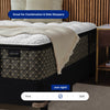 "Aireloom_Chester-Luxetop-Plush"