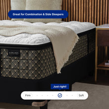 "Aireloom_Chester-Luxetop-Plush"