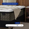 "Aireloom_Westchester-Luxetop-Plush"