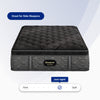 eautyrest-Black_Series-One-Plush-Pillow