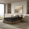 eautyrest-Black_Series-One-Plush-Pillow