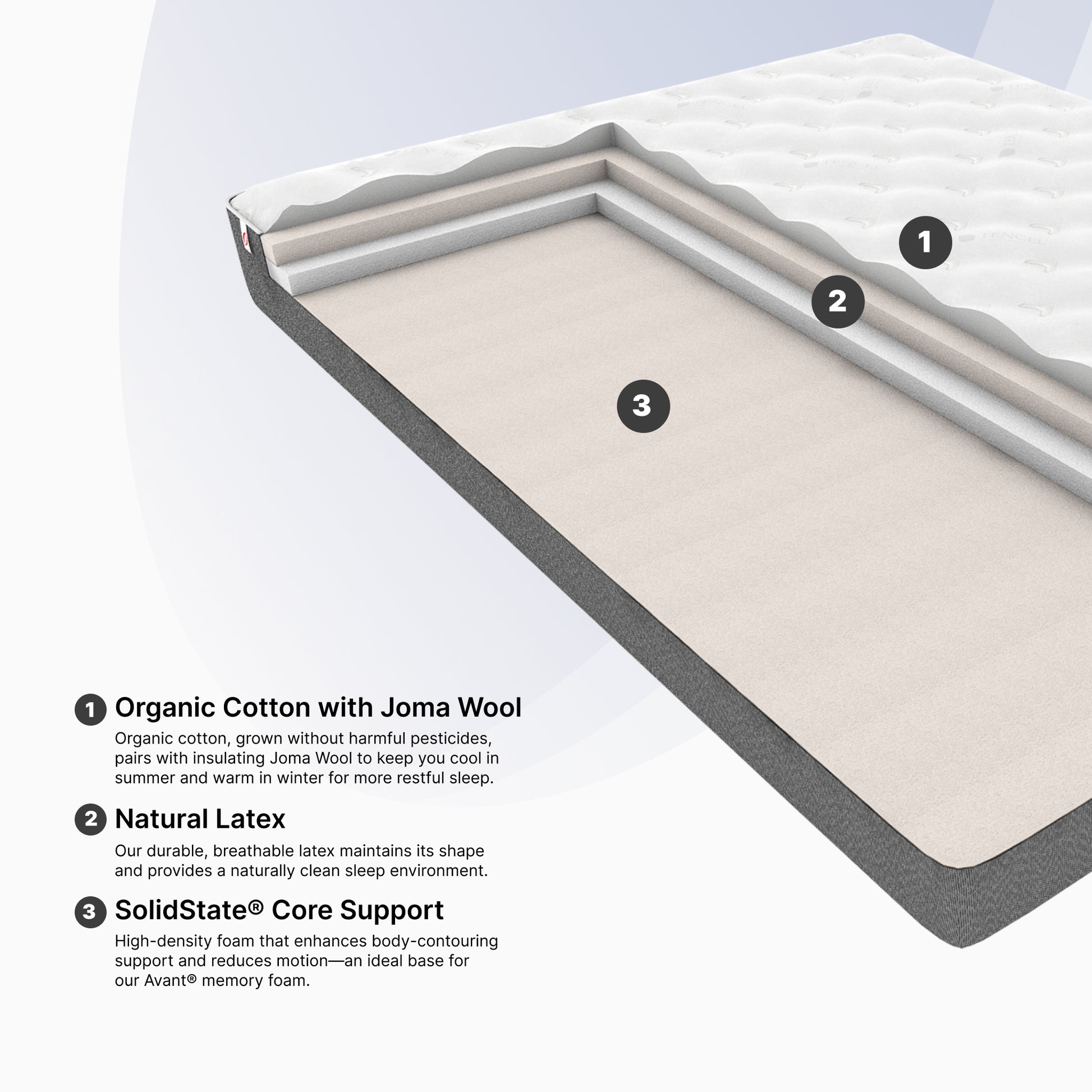 Ortho-Mattress_Ace-Mattress