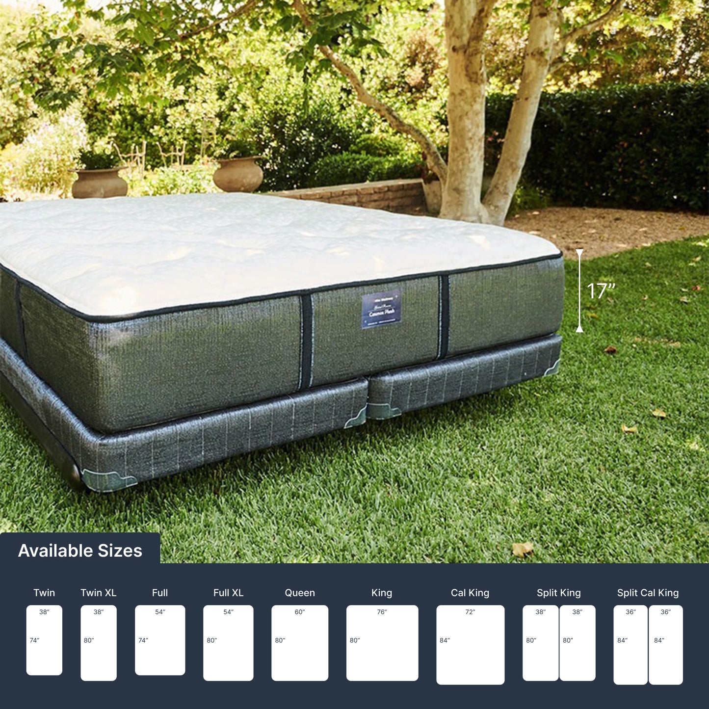 Ortho-Mattress_Cosmos-LTPS