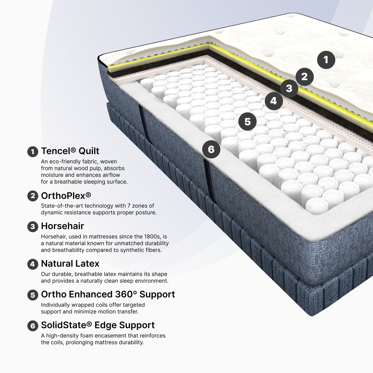 Ortho-Mattress_Cosmos-Plush