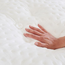 Ortho-Mattress_Cosmos-Plush