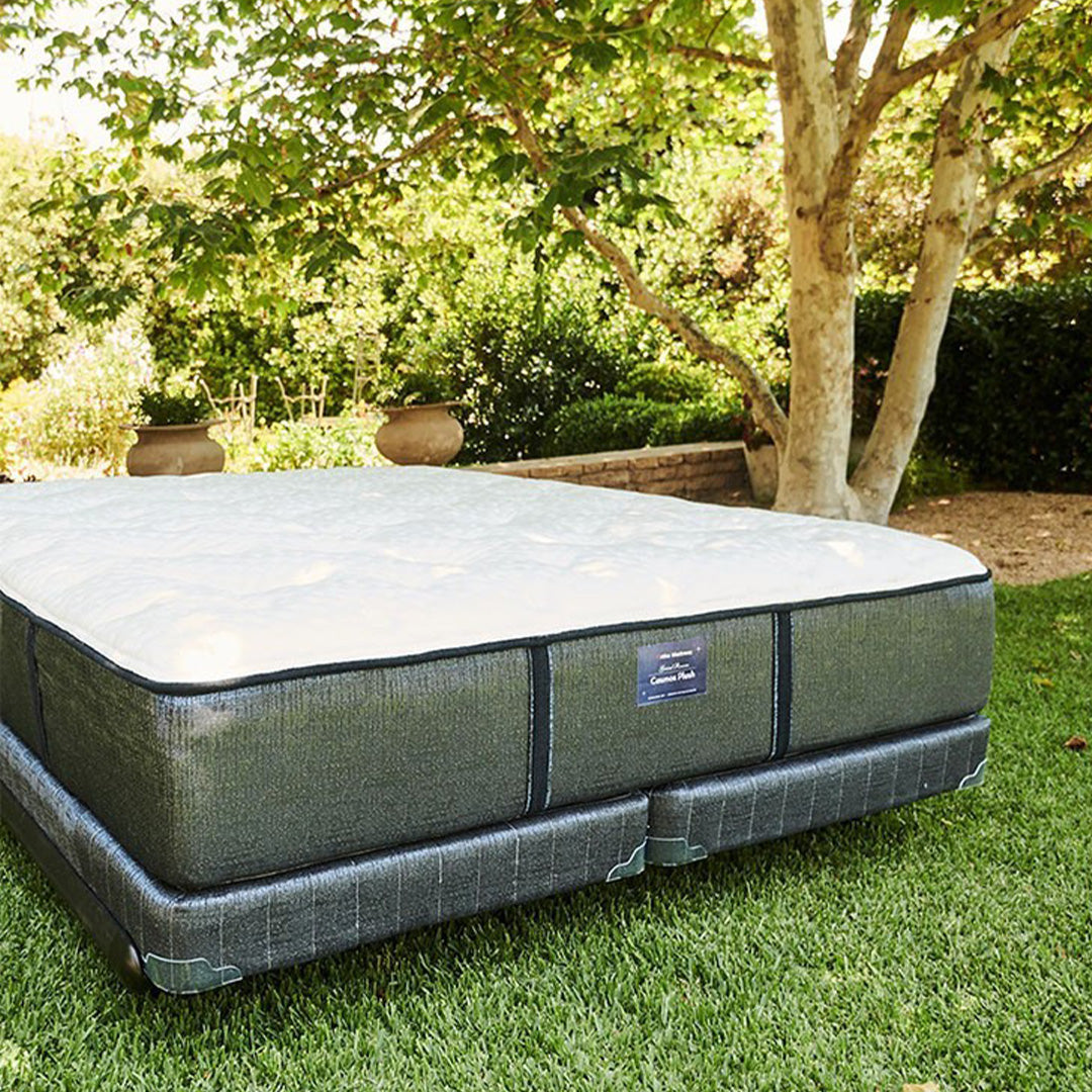 Ortho-Mattress_Cosmos-Plush