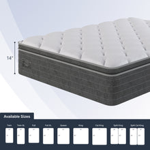 Ortho-Mattress_Norland-Pillow-Top
