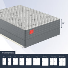 Ortho-Mattress_Regency-II-Firm