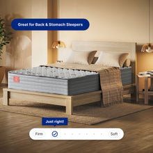 Ortho-Mattress_Regency-II-Firm