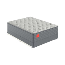 Ortho-Mattress_Regency-II-Pillow-Top