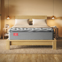 Ortho-Mattress_Regency-II-Pillow-Top