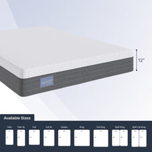 Ortho-Mattress_Signature-Hybrid-Medium