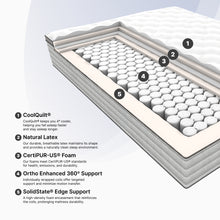 Ortho-Mattress_White-Elephant-Collection